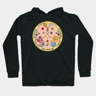 VITRIOL, Rosicrucian Secret Symbols, Alchemy Hoodie